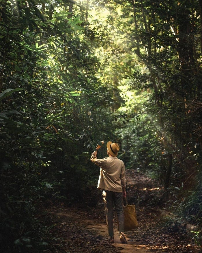 Phú Quốc National Park