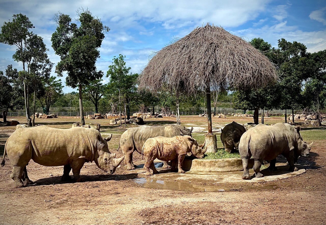 Vinpearl Safari Phú Quốc